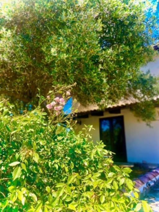 Camera Villa Sarda Aurora Elmas Extérieur photo